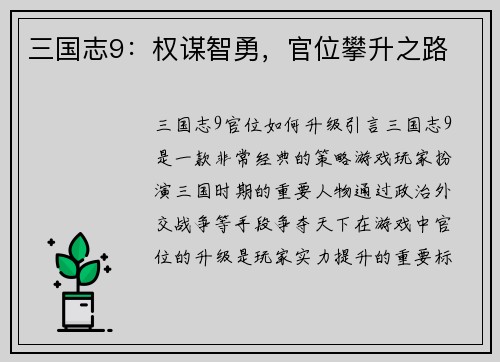三国志9：权谋智勇，官位攀升之路