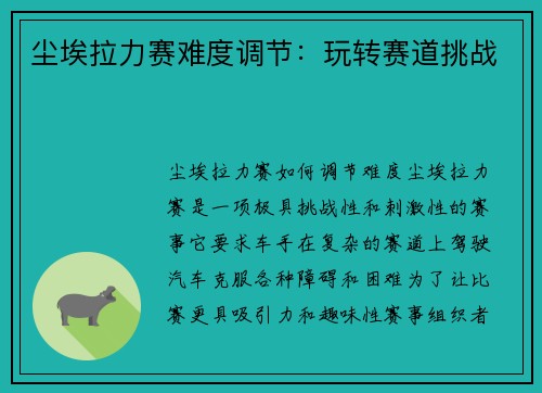 尘埃拉力赛难度调节：玩转赛道挑战