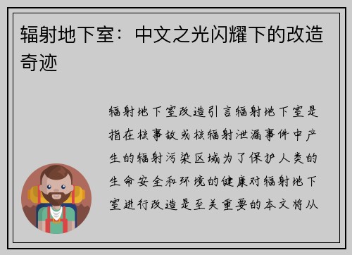 辐射地下室：中文之光闪耀下的改造奇迹